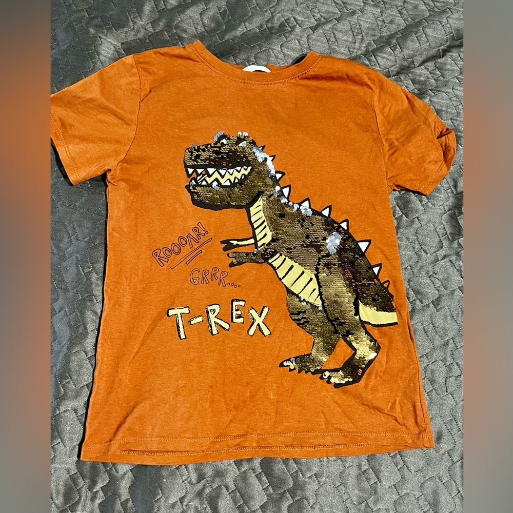 Sequin Dinosaur Tshirt